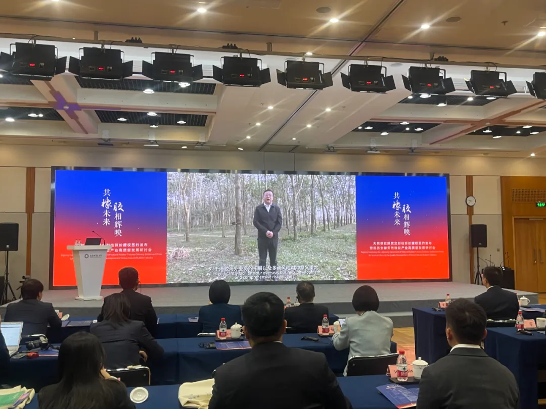 1737075803367089105.jpg 1737075803367089105.jpg