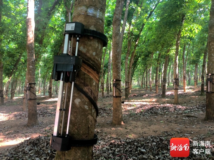 1748479806916019988.jpg 1748479806916019988.jpg